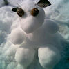 sjr's picture