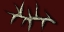 b_gui_ig_i_it_rgt_ivory_thorns